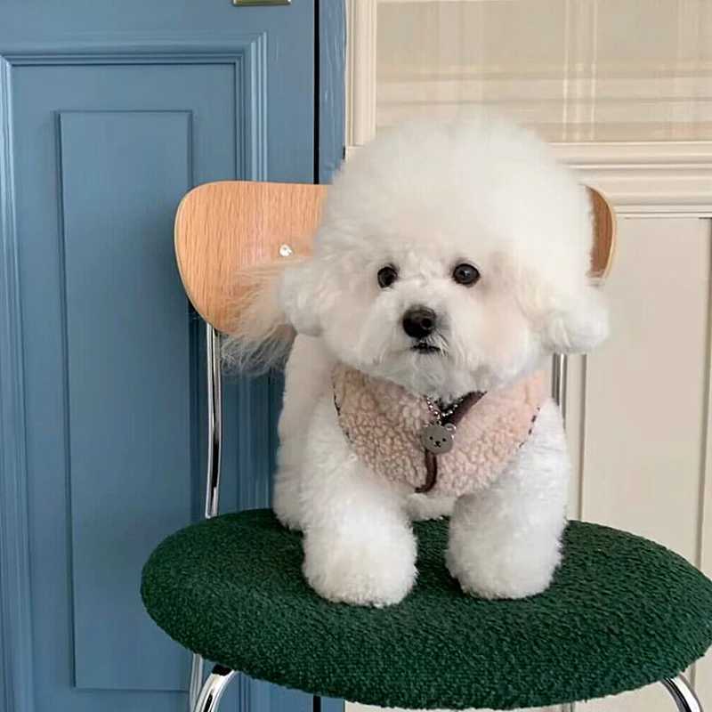 Pet Cotton Coat Teddy Animal Embroidery Vest Small Dog Winter Thickened Jacket Warm Dog Clothes Popular Open Button ShirtXJ250109