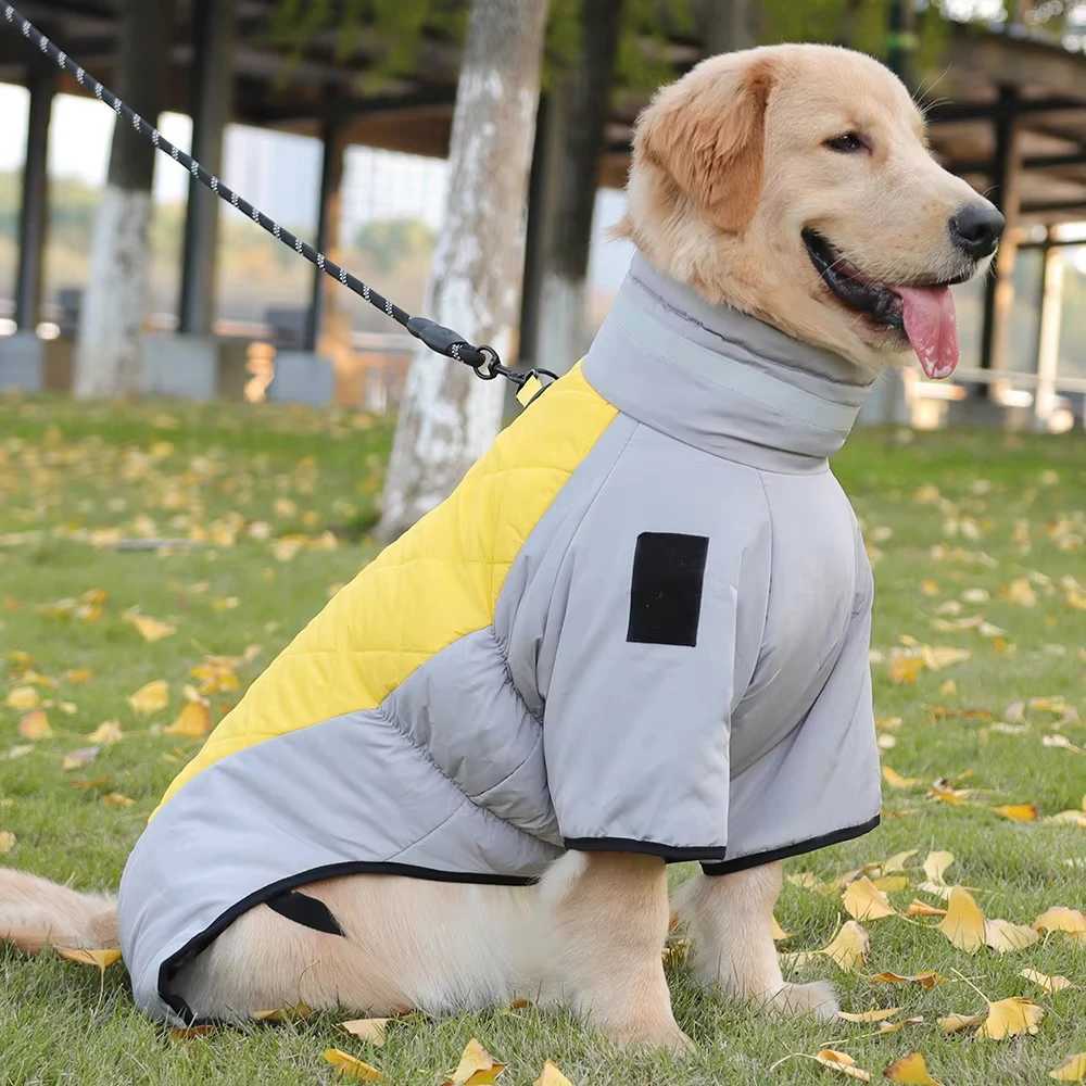 Golden Labrador Retriever waterproof dog jumpsuit medium big dog Big dog winter warm cotton blend coatXJ250109