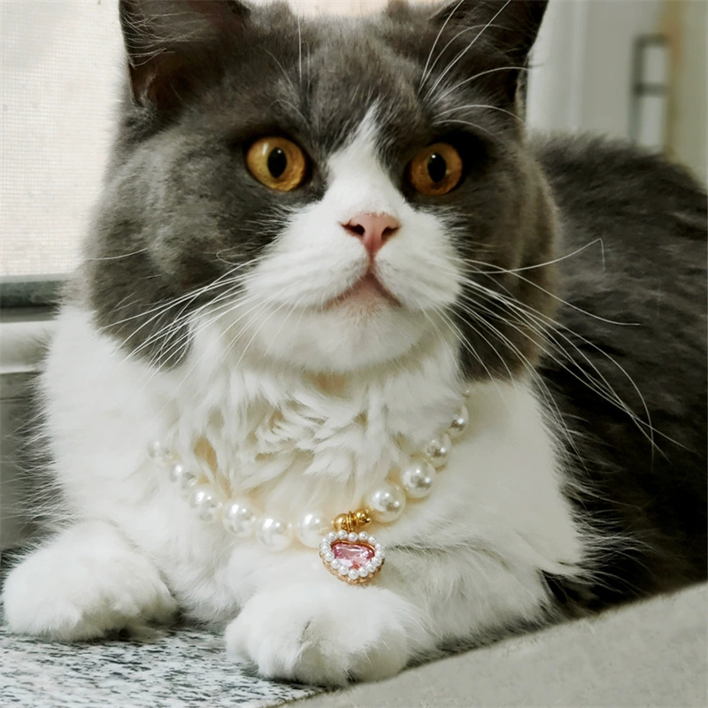 Cat Collar Decoration Pet Cute Exquisite Neck Kitten Adjustable Summer Cat Necklace High Simulation Pearls Pet Supplies