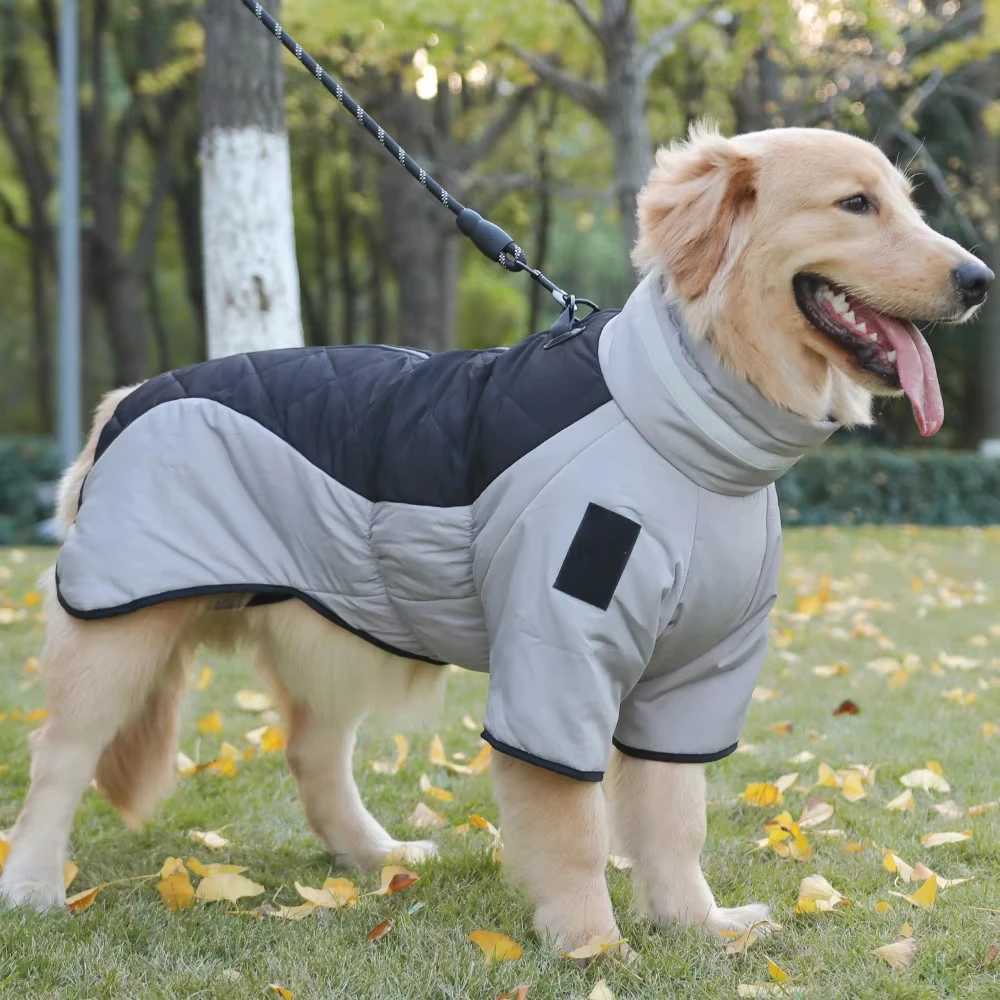 Golden Labrador Retriever waterproof dog jumpsuit medium big dog Big dog winter warm cotton blend coatXJ250109