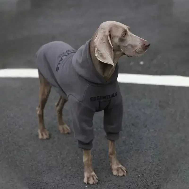 New pet large dog clothes autumn and winter padded and thickened color blocking hooded English dog sweaterXJ250109