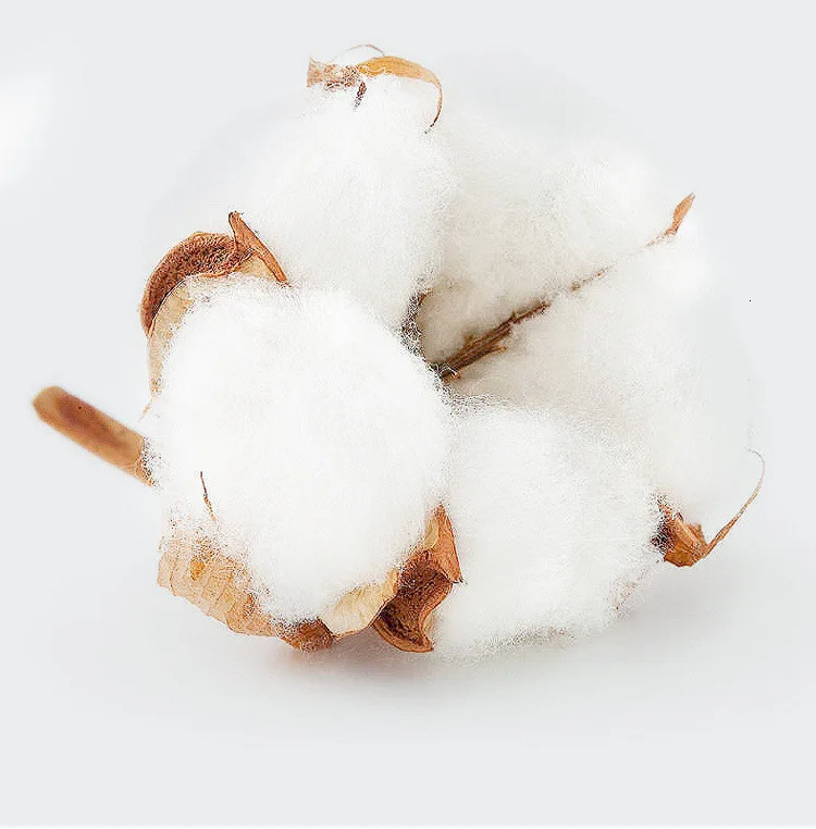 Retro Simple Letter Summer Mens Cotton Comfortable Breathable Casual Fashion TShirt Outdoor Street Clothing for Men 250106