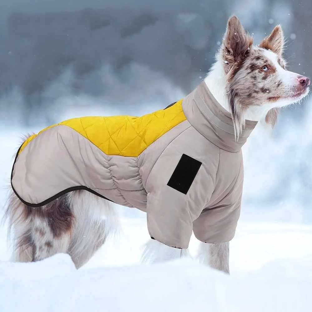 Golden Labrador Retriever waterproof dog jumpsuit medium big dog Big dog winter warm cotton blend coatXJ250109