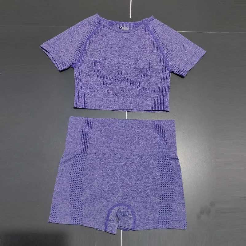 2Pcs/Set Women High Waist Seamless Yoga Set Gym Clothes Fitness Top Short Sleeve Shirt Shorts Sports Suits Athletic WearXJ250109