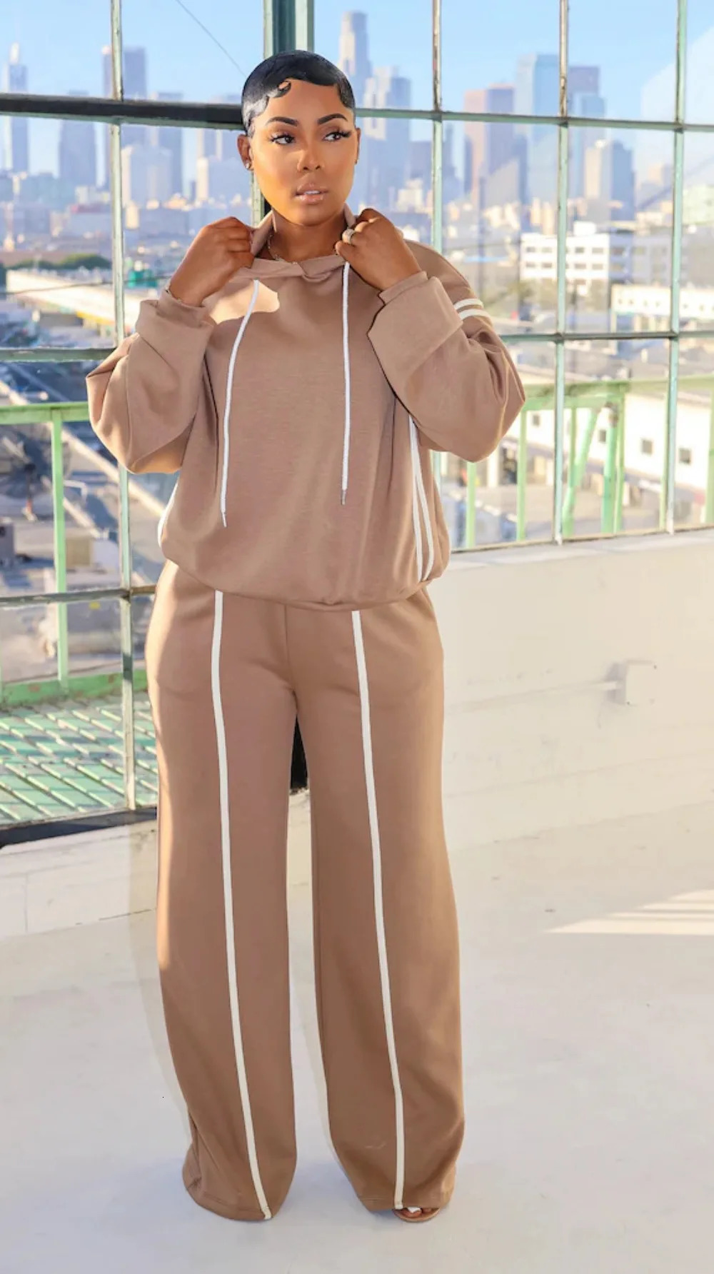 Autumn Winter Fashion Solid Color Two Piece Set Women Long Sleeved Hooded Sweatshirt Pants Casual Sports 250106