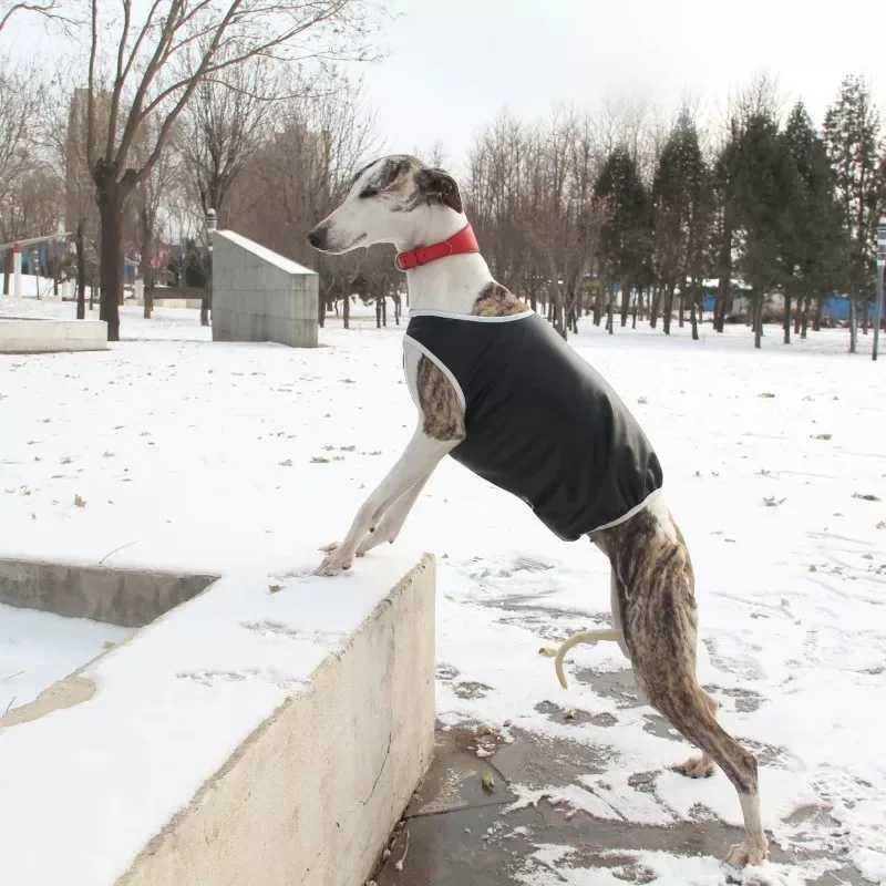 Winter Dog Clothes Waterproof Warm Dog Vest Jacket Fleece Racing Suit Whippet Greyhound Jersey for Sports Dog Walking/RunningXJ250109