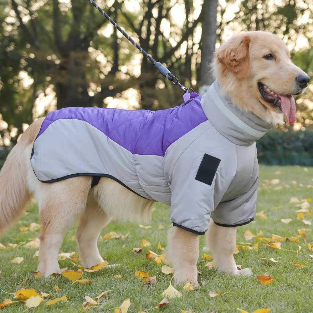 Golden Labrador Retriever waterproof dog jumpsuit medium big dog Big dog winter warm cotton blend coatXJ250109