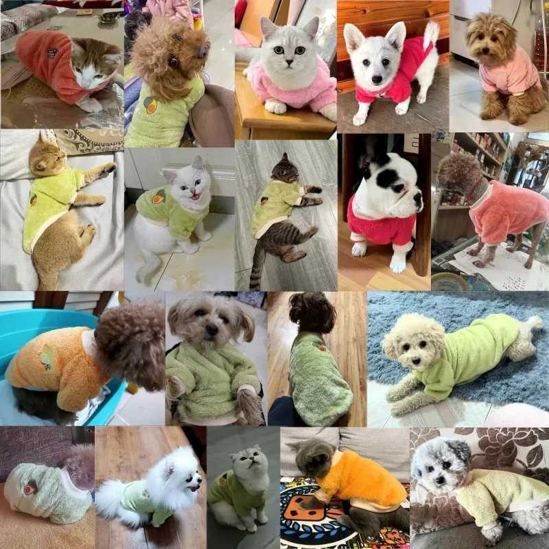 Cute Fruit Print Dog Hoodies Warm Pet Dog Clothes Luxury Puppy Coat Jacket Winter Cat Pullover Chihuahua French Bulldog ClothesXJ250109