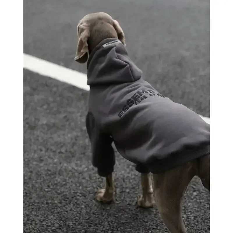 New pet large dog clothes autumn and winter padded and thickened color blocking hooded English dog sweaterXJ250109