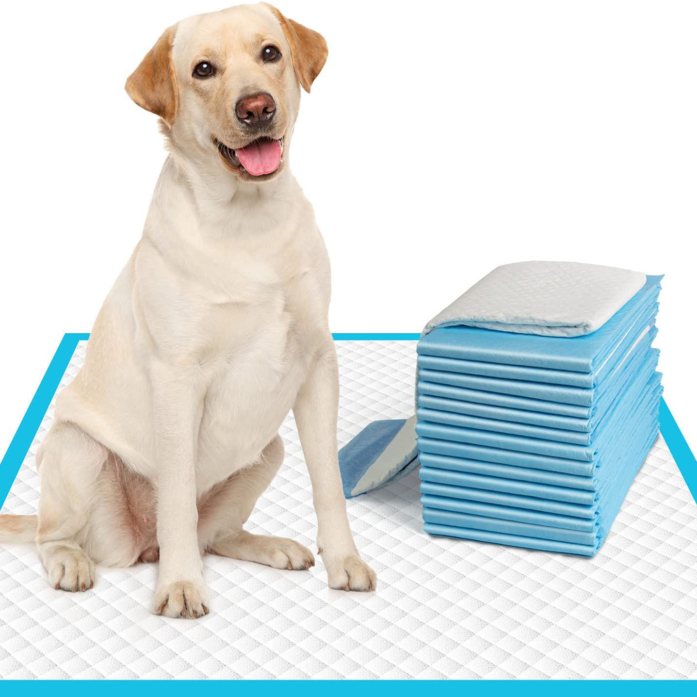High-Absorbency Pet Pad for Dogs and Cats