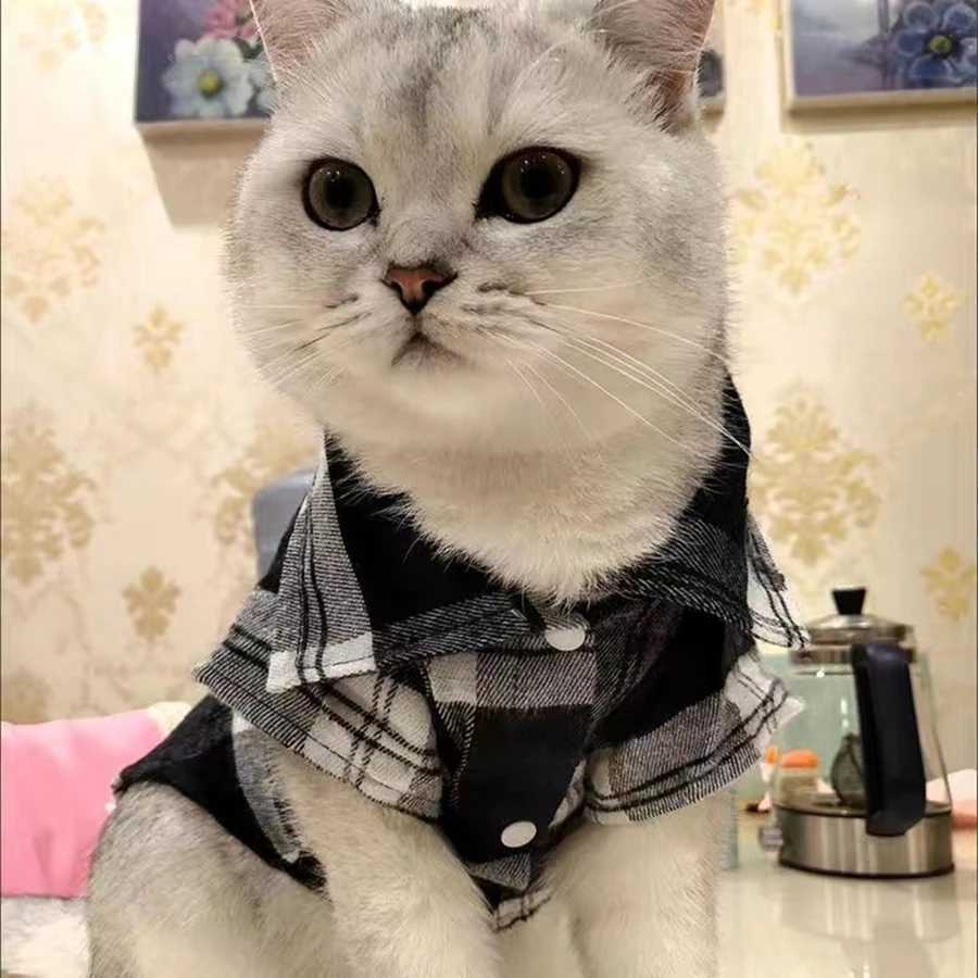 Stylish Plaid Shirt Coat for Small Dogs and Cats - Keep Your Pet Looking Cute and CozyXJ250109