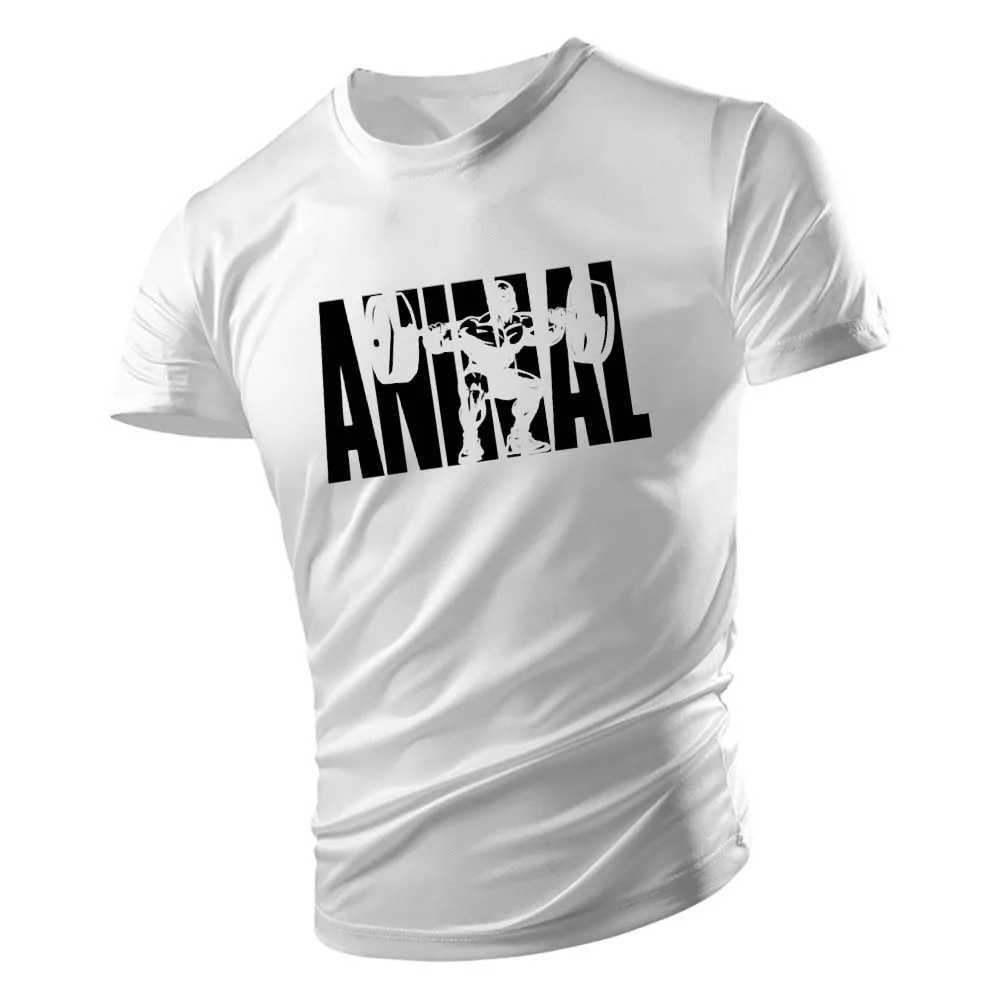 Four Seasons Gym Mens Fashion Leisure Y2k Outdoor Sports Quick drying O-neck Graphic T-shirt Street Extra Large T-shirt W250111