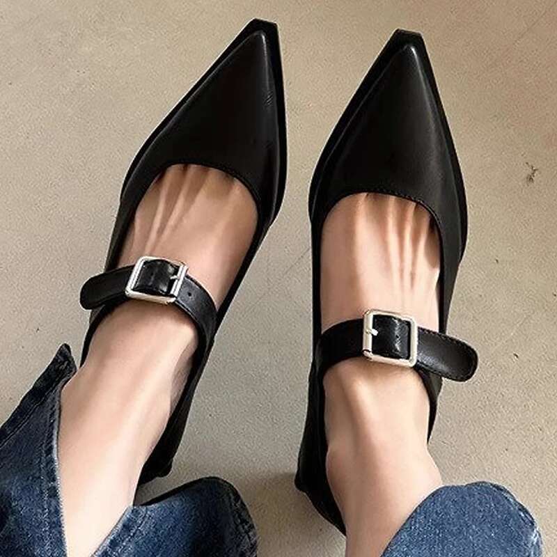 2024 Fashion Summer Elegant Pointed Heels Casual Low Heel Block Women's Sandals Mary Jane Shoes