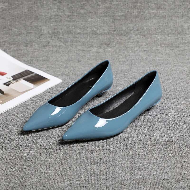 Spring Autumn New Commuting Style Pointed Middle And Low Tailored Shoes For Women