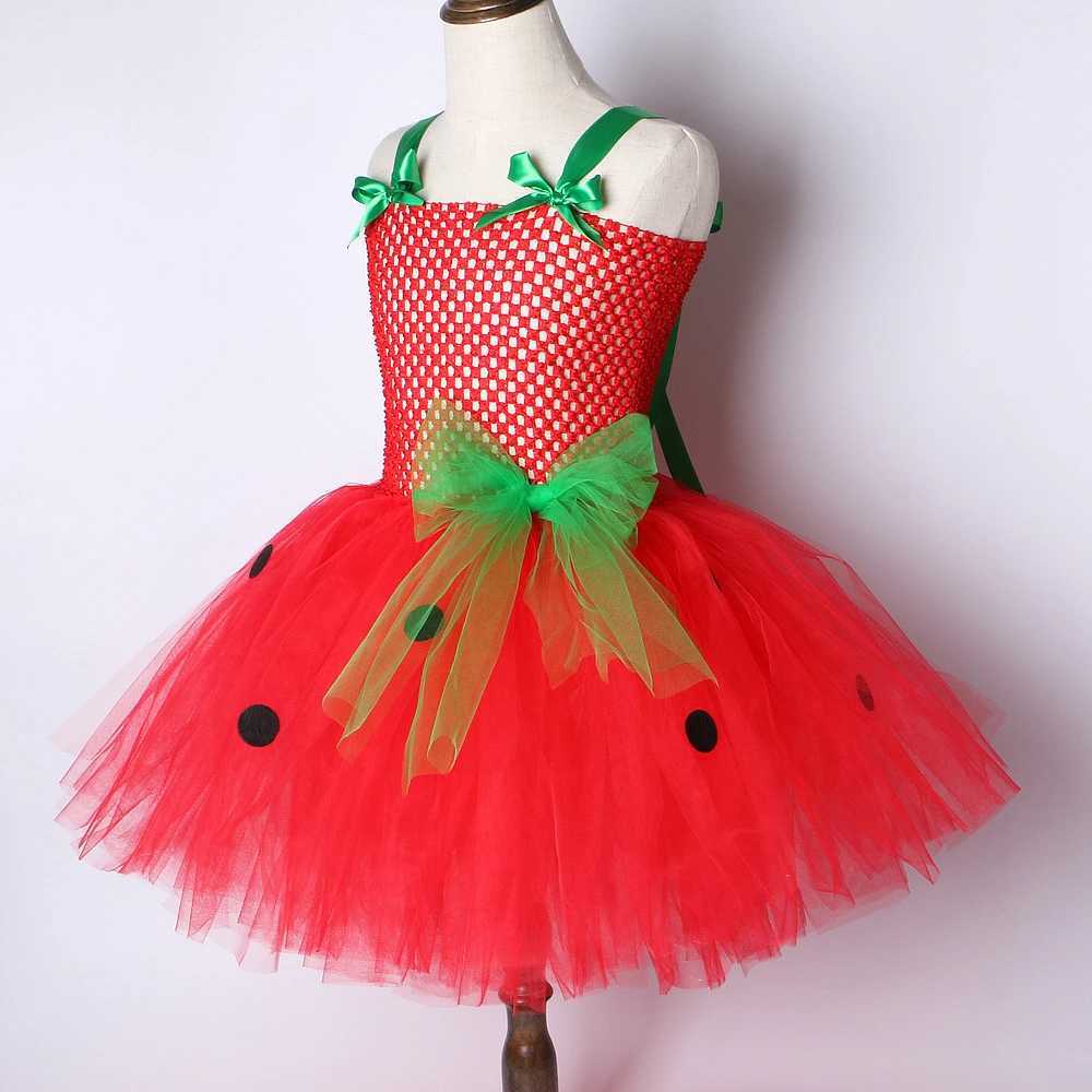 Baby girl Tutu dress Strberry princess dress Childrens girl birthday costume Watermelon Halloween costume Preschool W250111