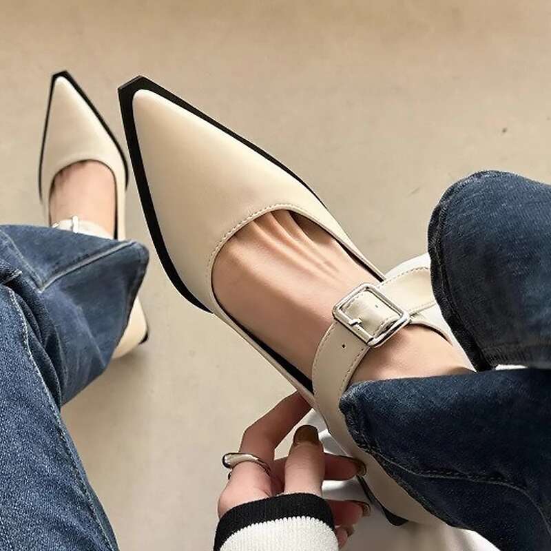 2024 Fashion Summer Elegant Pointed Heels Casual Low Heel Block Women's Sandals Mary Jane Shoes
