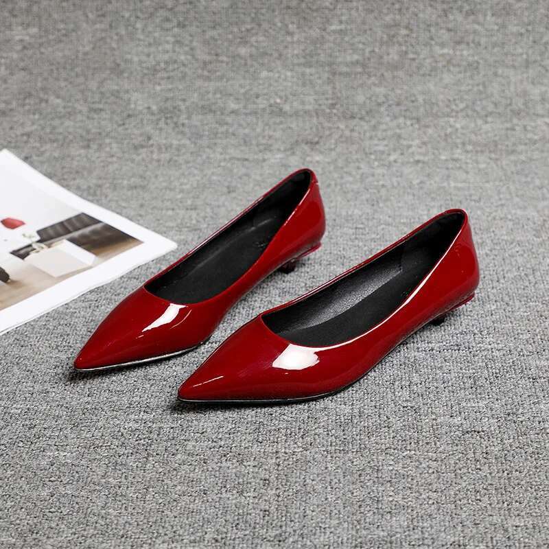 Spring Autumn New Commuting Style Pointed Middle And Low Tailored Shoes For Women