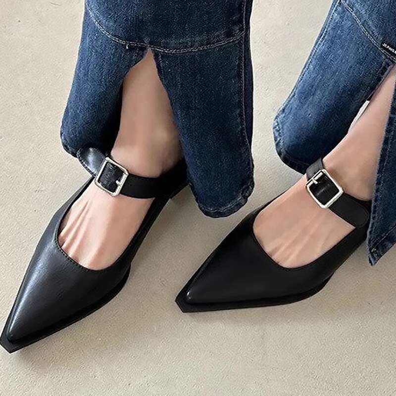 2024 Fashion Summer Elegant Pointed Heels Casual Low Heel Block Women's Sandals Mary Jane Shoes