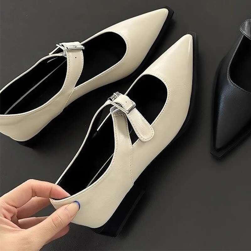 2024 Fashion Summer Elegant Pointed Heels Casual Low Heel Block Women's Sandals Mary Jane Shoes