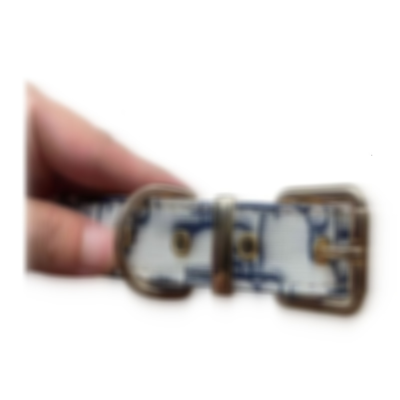 Adjustable with Metal Buckle designer Dogs Collar for Cats and Outdoor Traction Rope 757