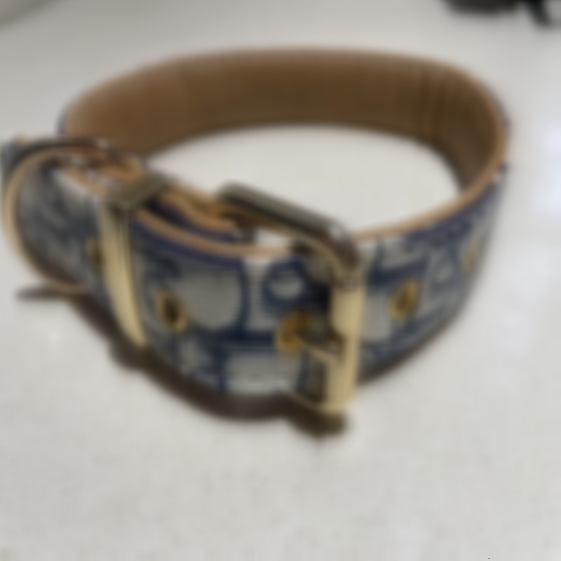 Adjustable with Metal Buckle designer Dogs Collar for Cats and Outdoor Traction Rope 757