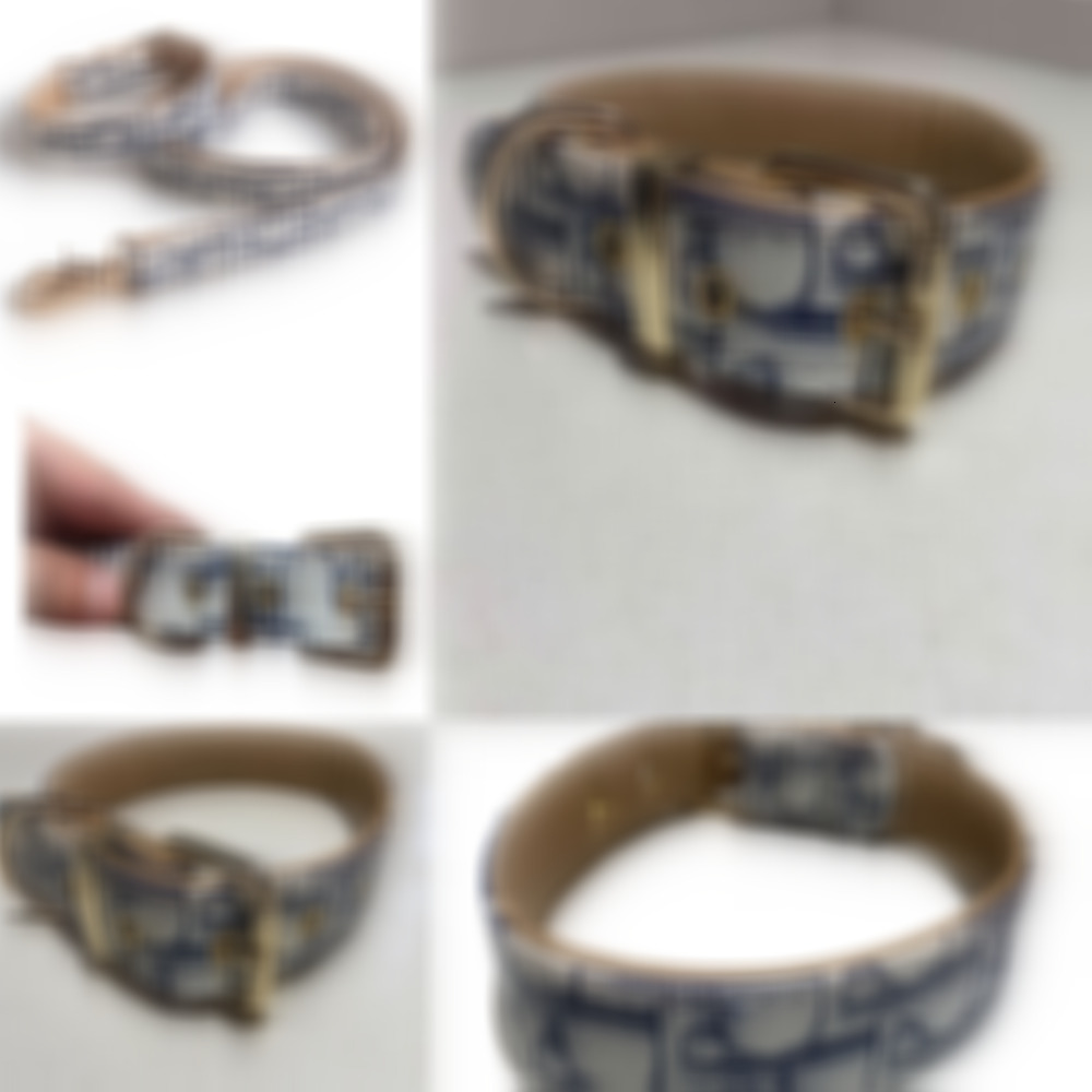 Adjustable with Metal Buckle designer Dogs Collar for Cats and Outdoor Traction Rope 757