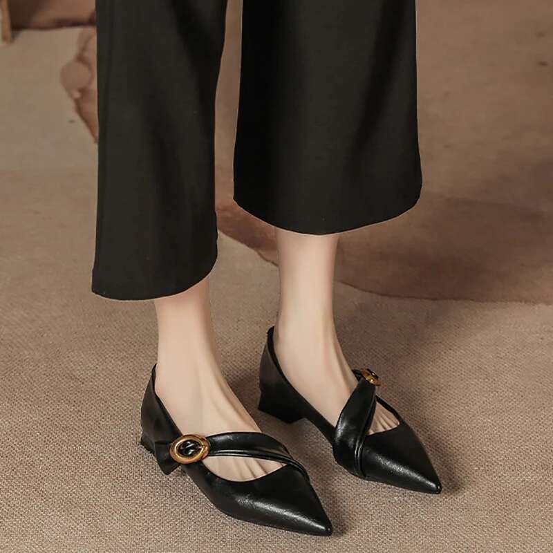 2025 Spring Vintage Women Pointed Toe Mary Jane Fashion Shallow Thick Heel Wedding Party Shoes