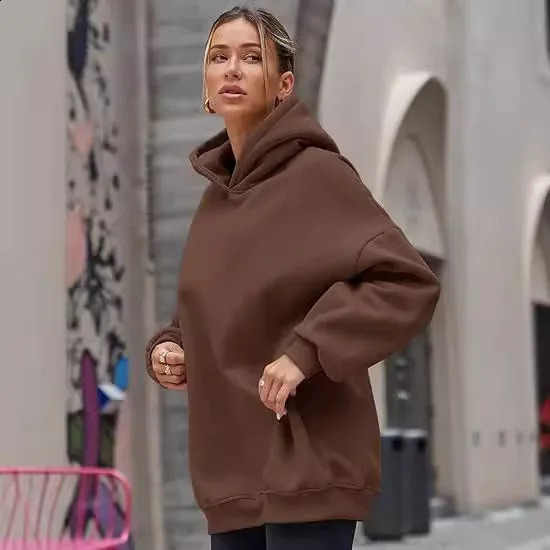 Winter Solid Color Hoodie Hip Hop Plush Hooded Sweatshirts Oversized Pullover Harajuku Casual Hoodies Tracksuit Women Sports Top 250106