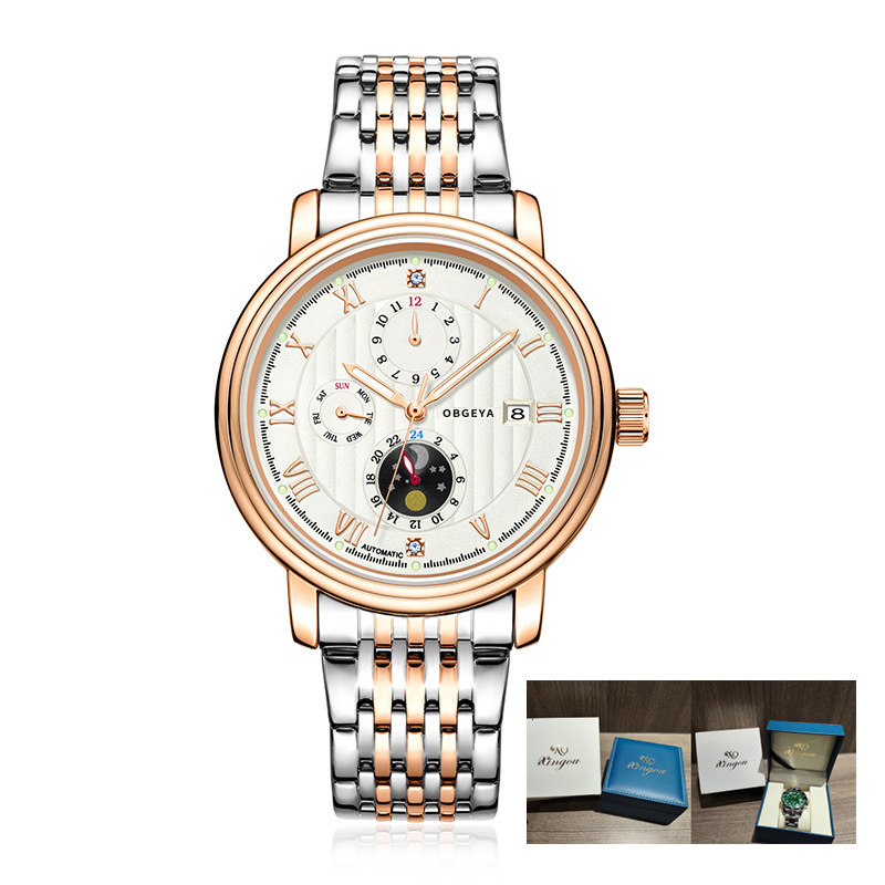 Luxury Business Mechanical Watch with Stainless Steel Band and 30M Waterproof