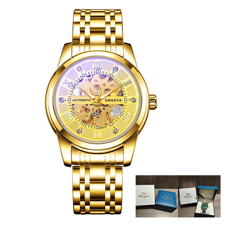 Men's Business Skeleton Automatic Mechanical Watch