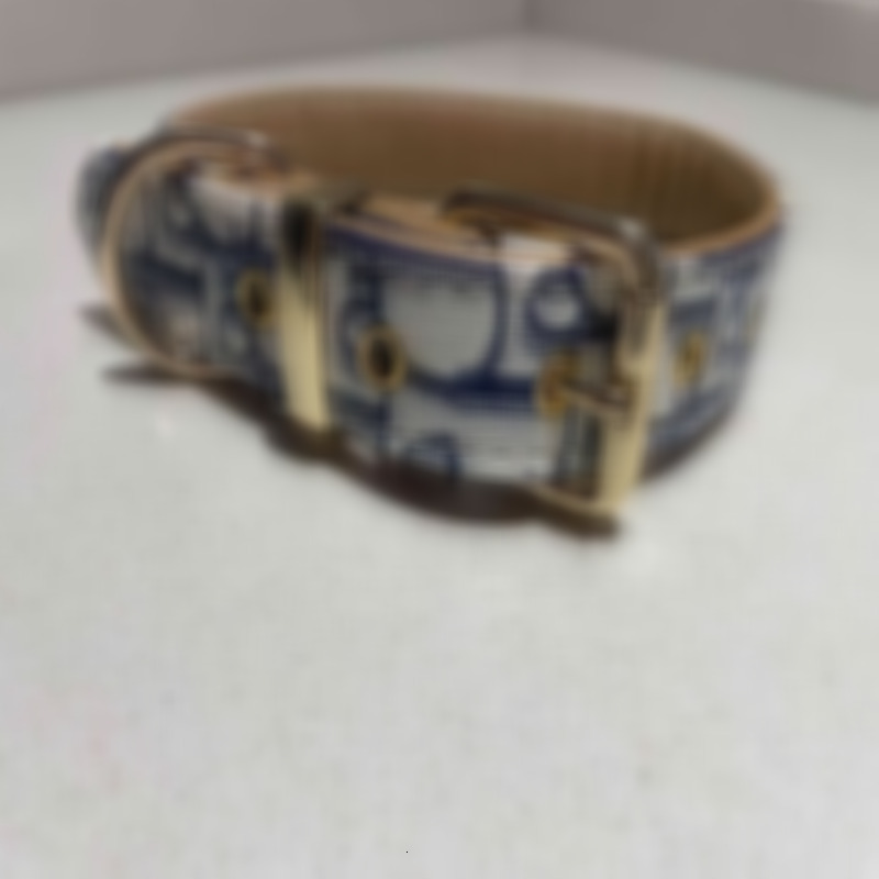 Adjustable with Metal Buckle designer Dogs Collar for Cats and Outdoor Traction Rope 757