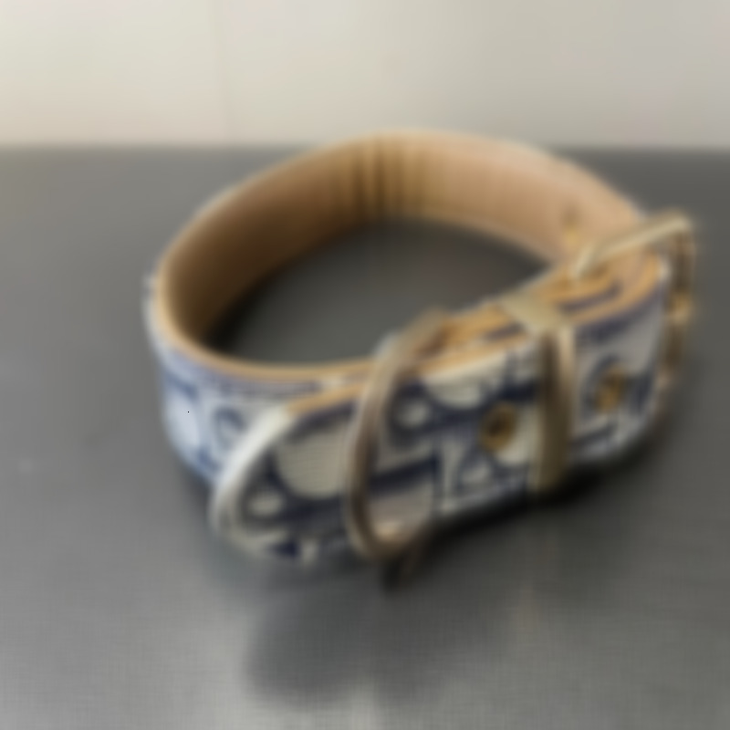 Adjustable with Metal Buckle designer Dogs Collar for Cats and Outdoor Traction Rope 757