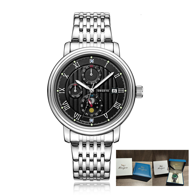Luxury Business Mechanical Watch with Stainless Steel Band and 30M Waterproof
