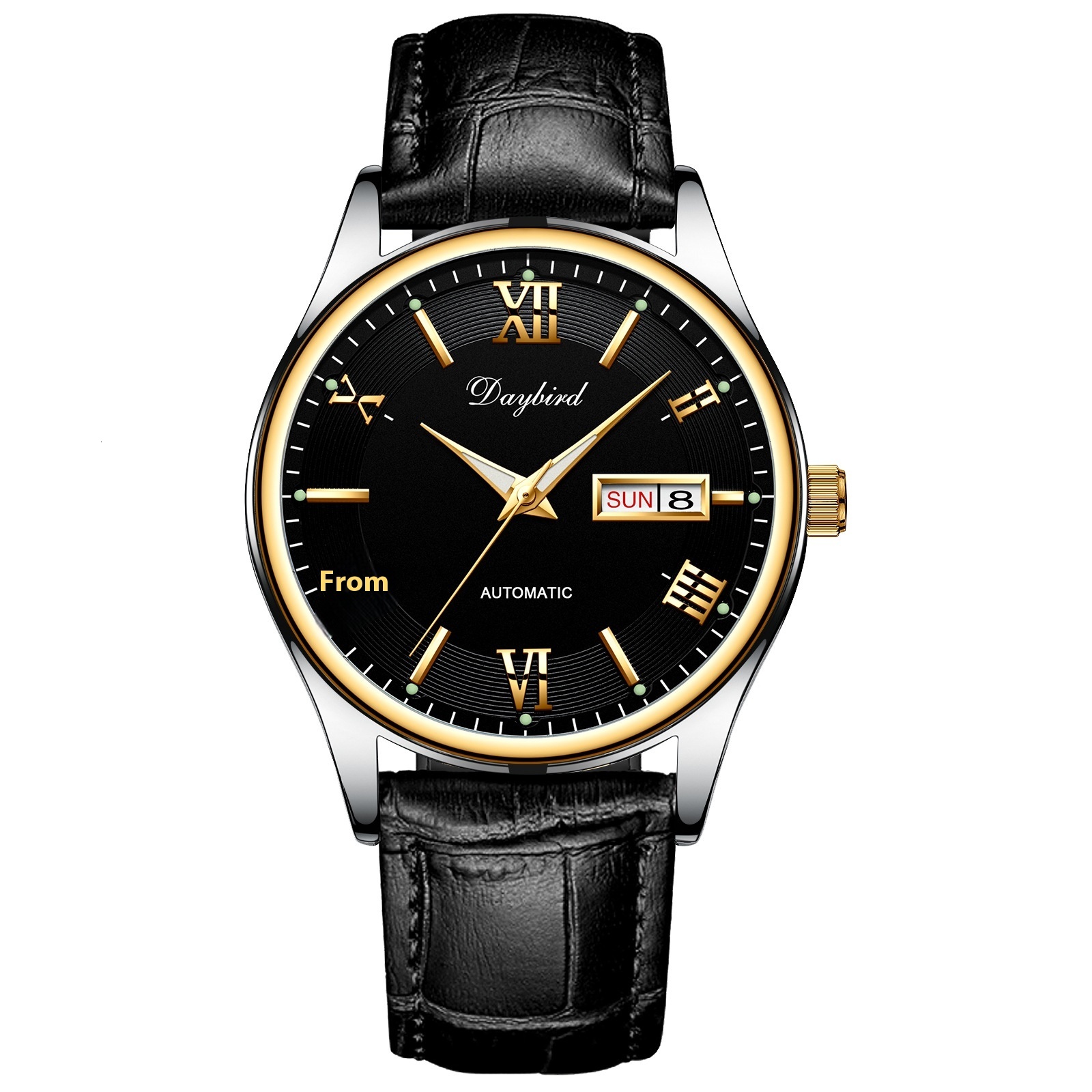 Men's Elegant Automatic Mechanical Watch with Skeleton Design, Night Glow, and Dual Calendar
