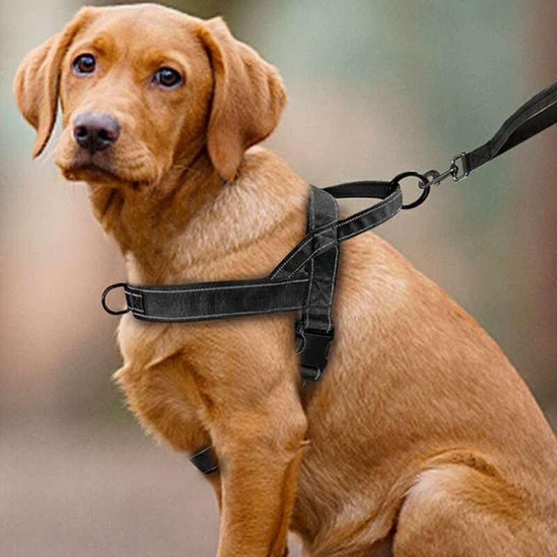 DHpet No Pull Dog Harness Reflective Escape Proof Adjustable No Pulling Dog Harness with Padded Handle for Medium Large Dog