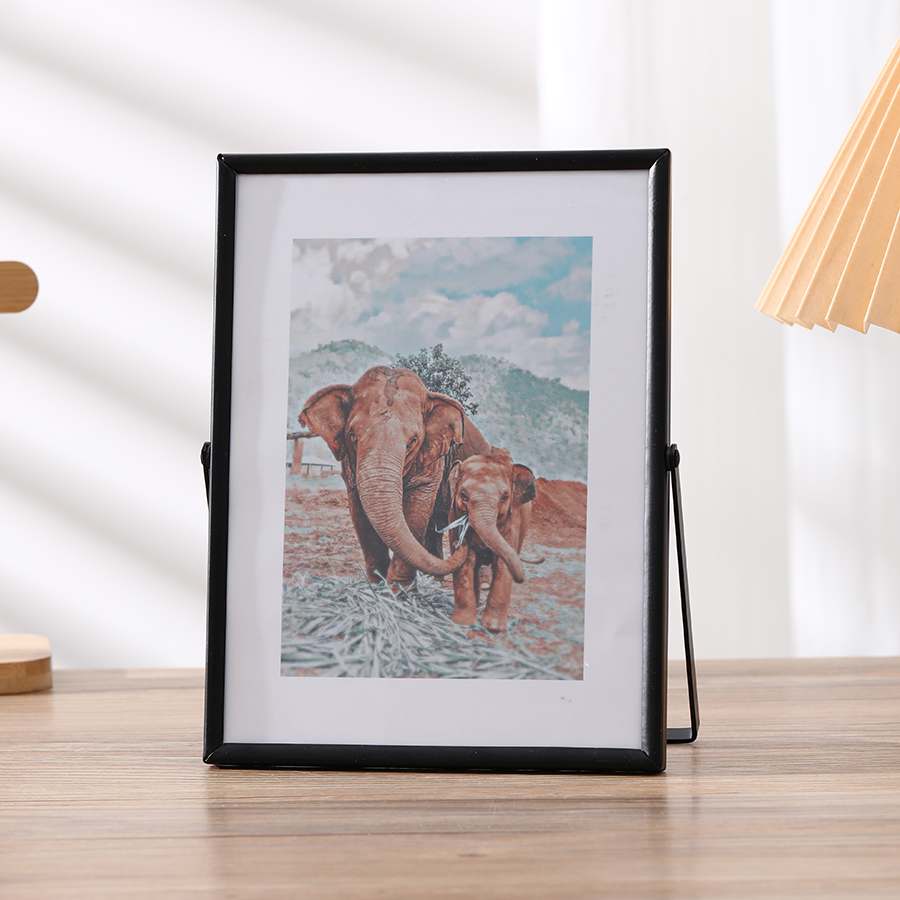 Elegant Metal Photo Frame Transparent Surface 6/7/8 Inch Sizes Perfect Home & Office Decor - Great for Holiday Gifting H260306