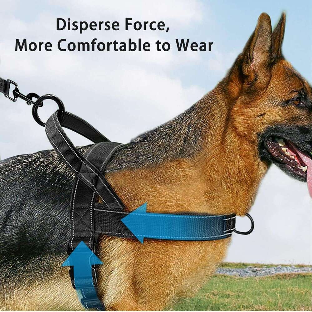 DHPET Ultimate Pet Supplies Hot Sale Pet Toys Pet Bowls Leash Poog Bags Cat and Dog Comprehensive Daily Care for Your Furry Friends Must-Have for Easy
