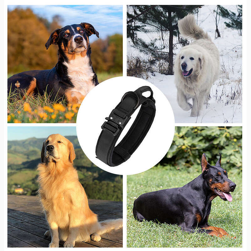 DHPET Tactical Dog Collar Adjustable Military Training Nylon Dog Collar with Control Handle and Heavy Metal Buckle for Medium and Large Dogs