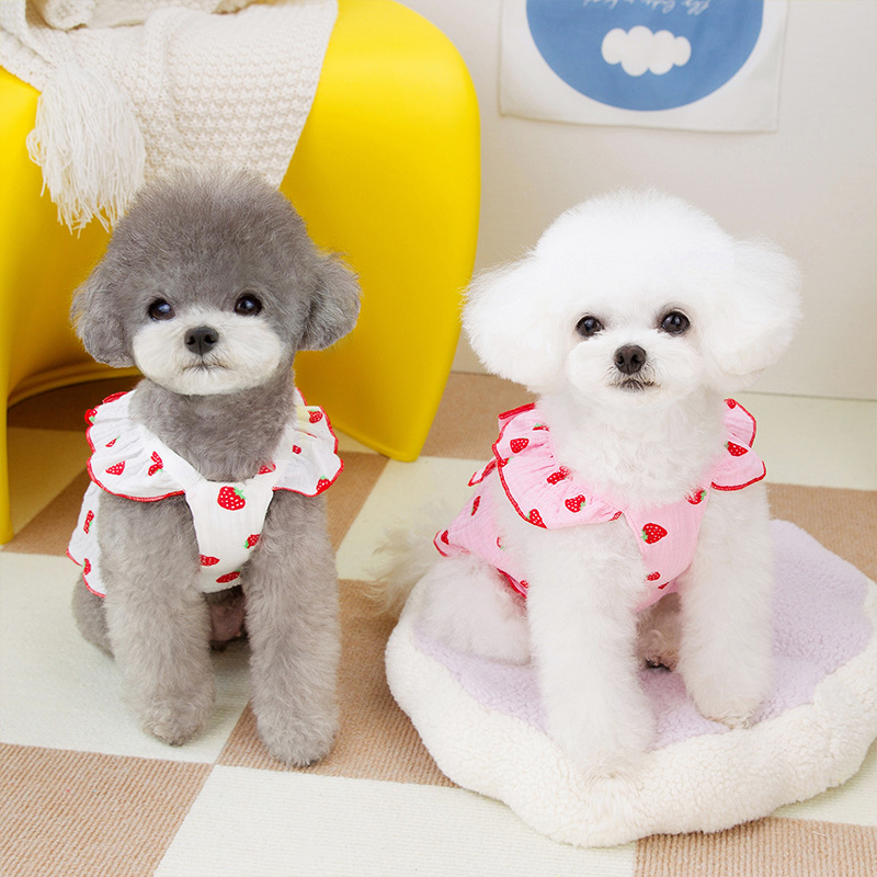 Dog clothes small dog strawberry princess dress Cat Teddy can traction summer thin cute dress wholesale 2025