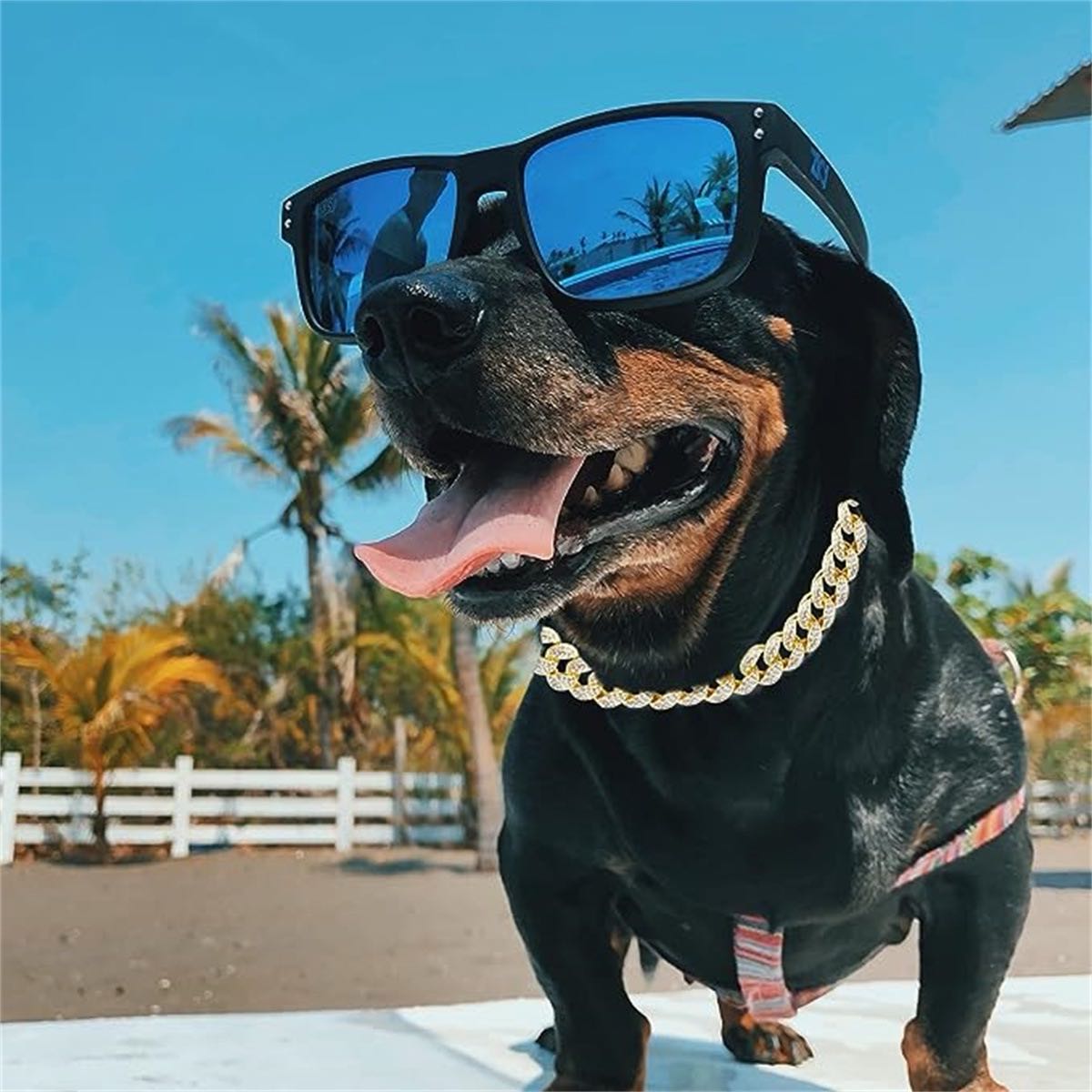 Luxury Gold Dog Chain Collar Cuban Chain Link Choke Collar for Small Medium Large Dogs, Pet Necklace Jewelry Crystal Accessories
