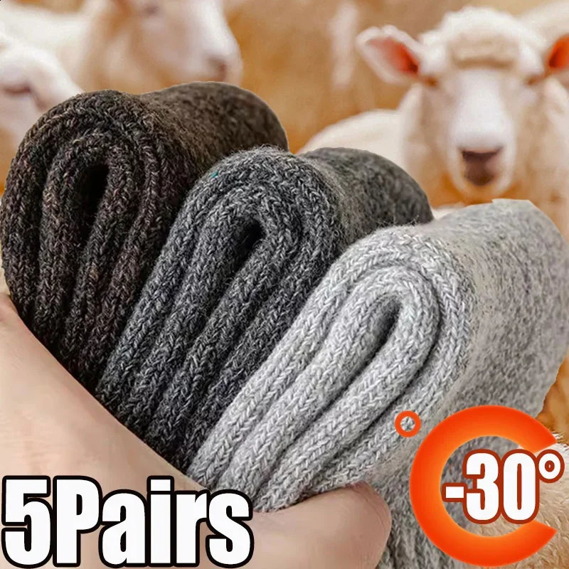 5 Pairs Cold Season Cozy Mens Socks Wool Unisex Hosiery Extra Thick Solid Color Merino Anti Freeze Plush Terry 250108