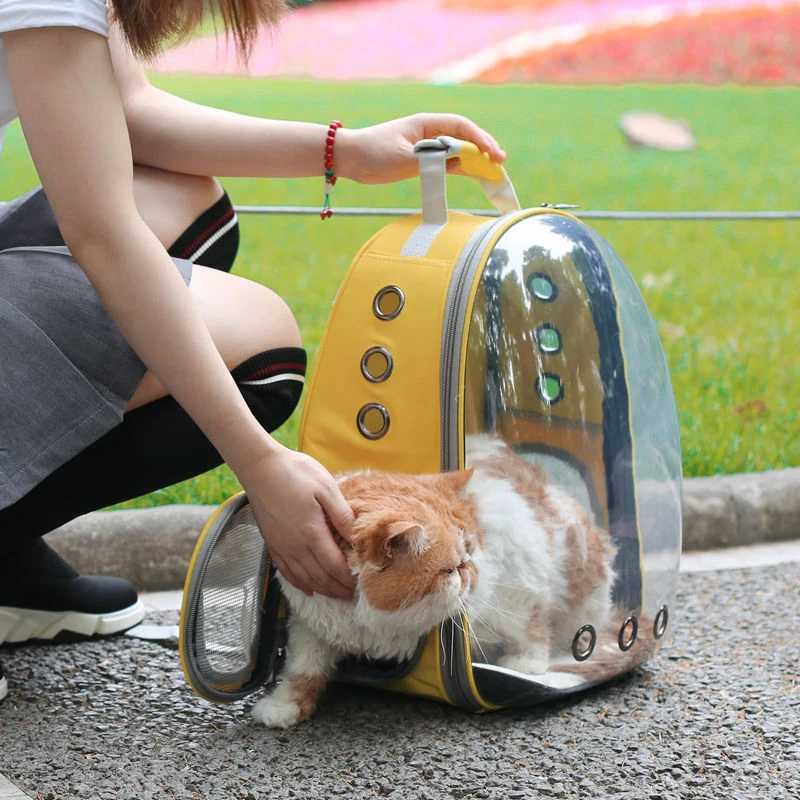 Travel Transparent Pet Cat Carrier Bag Outdoor portable Backpack for Cats Small Dogs Breathable Cat Carrying Bag Pet SuppliesXJ250113