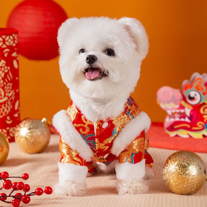Chinese New Year Dog Clothes Coat Winter Warm Pet Clothes Tang Suit Yorkie Chihuahua Spring Festival Pet Clothing for Small Dogs