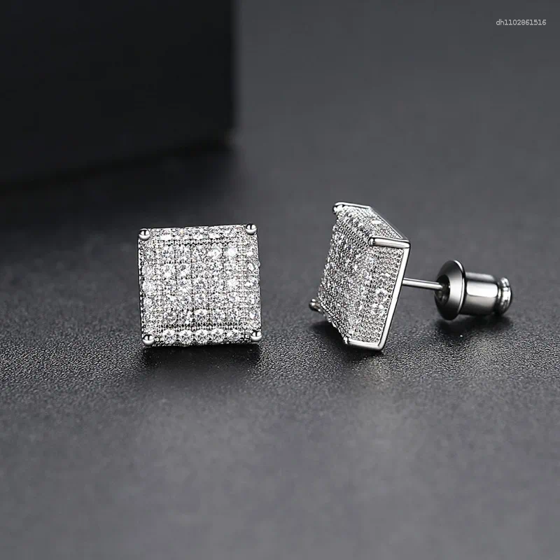 Stud Earrings Rock Hip Hop Iced Out For Women Men Male Ice Studded Zircon Silver Color Piercing Ear Accessories Trend Jewelry