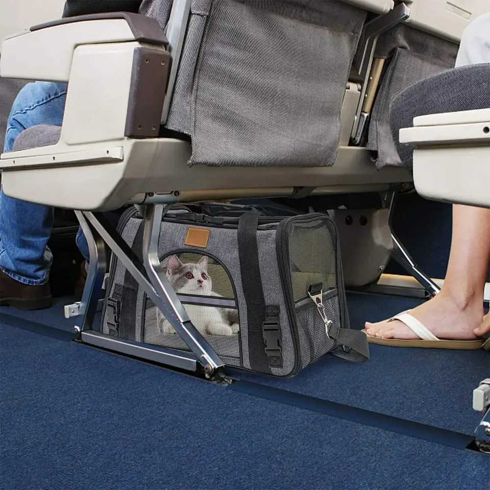 Foldable Portable Pet Transport Bag Soft Cat Carrier Dog Travel Backpack Pet AccessoriesXJ250113