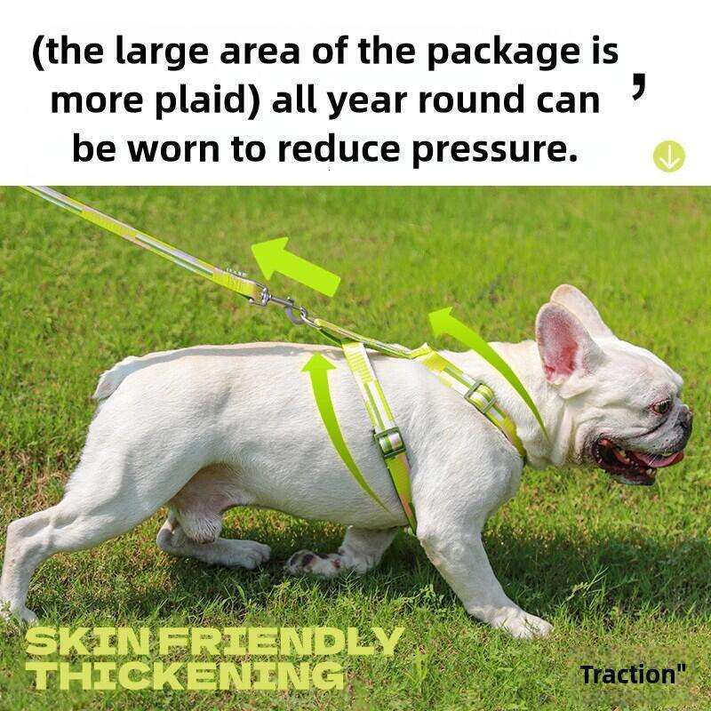 Specialized Outdoor Dog Leash Harness for Small Dogs, Adjustable and Anti - Pull, Ensuring Safet.