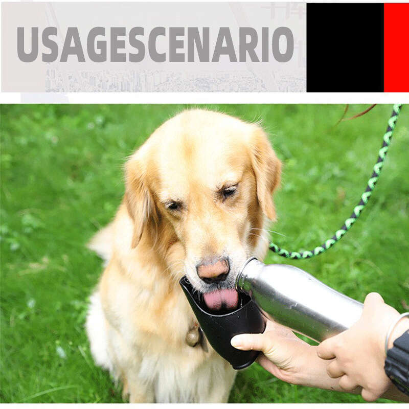 Outdoor Travel Artifact for Pets, Multifunctional Stainless - Steel Water Cup, Integrating a Portable Water Kettle and Drinker