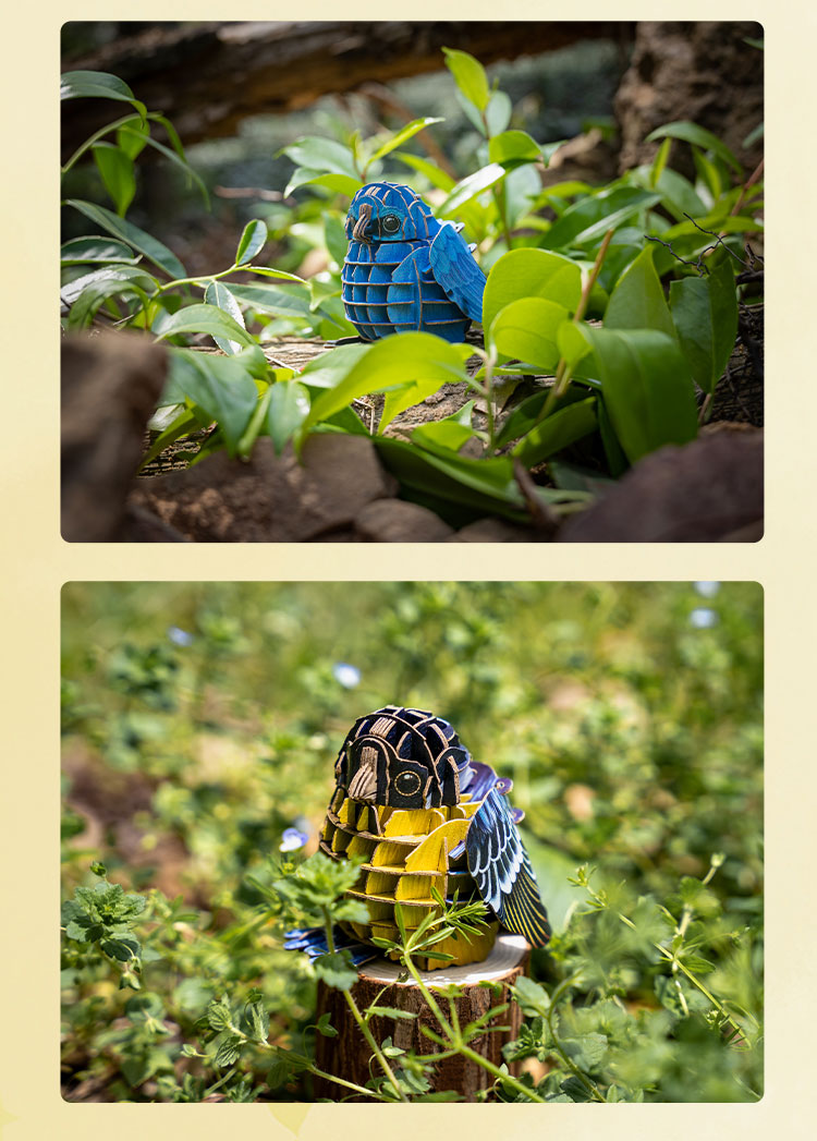 Puzzle réaliste des oiseaux 3D Puzzle - Jeu de fabrication de la nature éducative