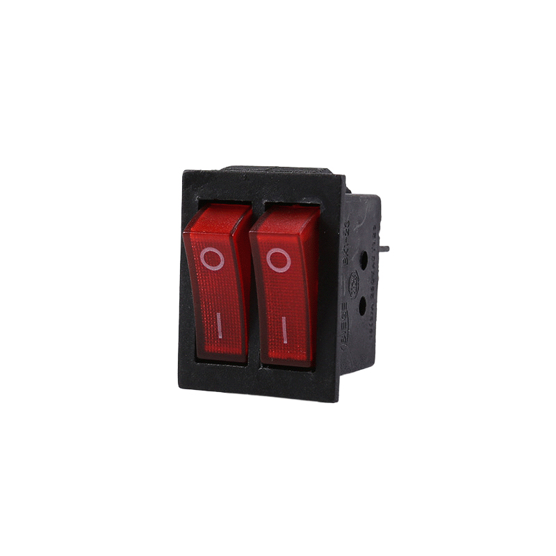 Supply Heater Accessories Switch RLKG203-2P Heater Switch Duplex Switch Heater Accessories