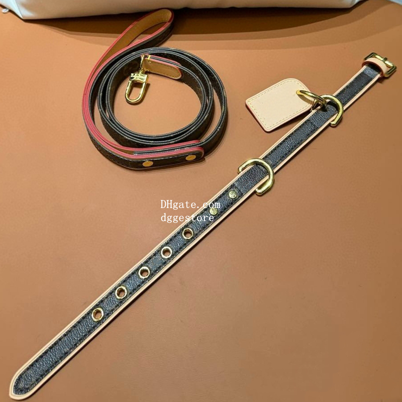 free shipping ics Collars Leash Set, Sumptuous Leather Collar with Dog Tag, Padded Fit for Walking, Hiking, Running, Designer Puppy Collar, Fancy Cust